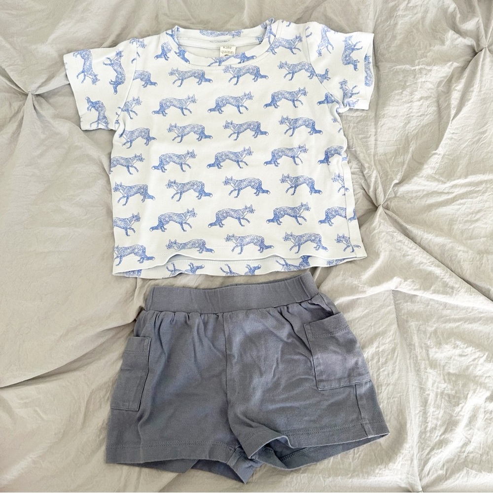 Kate Quinn Blue Fox Short Sleeve And Shorts Set 2T